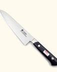 Sakai Ichimonji FV-10 Gyuto 210mm