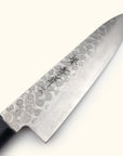 Sakai Takayuki 45 Layer Damascus Tsuchime Wa-Gyuto 180mm