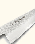 Sakai Takayuki 45 Layer Damascus Tsuchime Wa-Gyuto 240mm