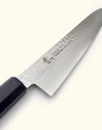 Sakai Takayuki Nanairo Blue Tortoiseshell Gyuto 210mm