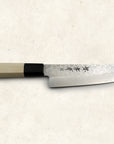 Sakai Takayuki 45 Layer Damascus Tsuchime Wa-Gyuto 180mm