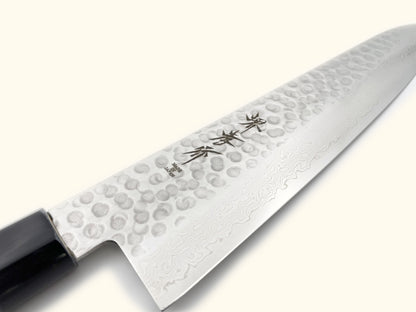 Sakai Takayuki 45 Layer Damascus Tsuchime Wa-Gyuto 240mm